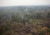 Com redução no combate, incêndios na Amazônia brasileira batem recorde no início em 2024