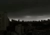 Temporal em SP derruba árvores e deixa moradores sem luz