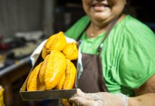 Gastronomia de Fronteira: sabores que contam histórias em Mato Grosso do Sul
