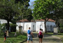 Programação no Mast lembra os 100 anos de visita de Eisntein ao Brasil